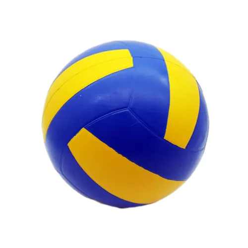 beach sports volleyball