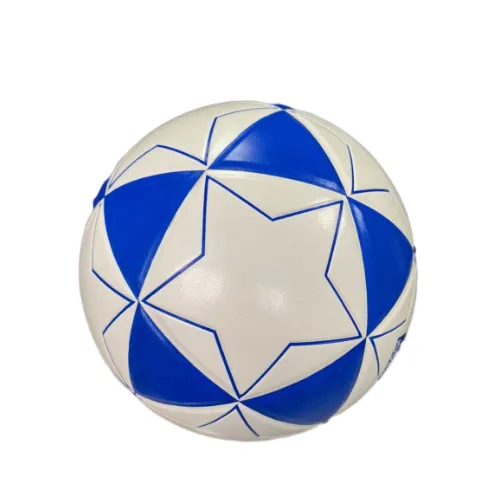 Read More About soccer videos