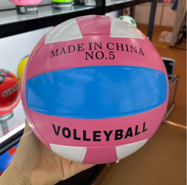 Read More About pro volleyball