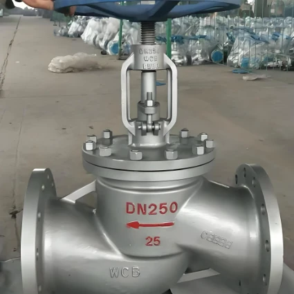 Globe Valve