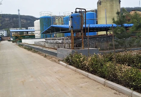 see more about dimethylbenzylamine