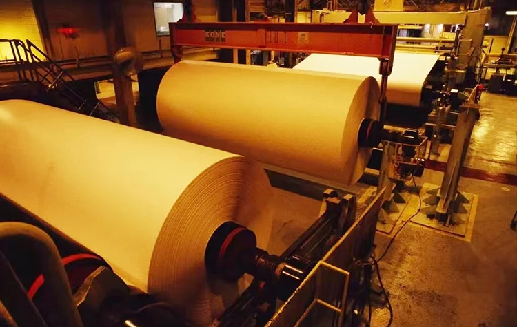 Pulp-&-Paper.webp