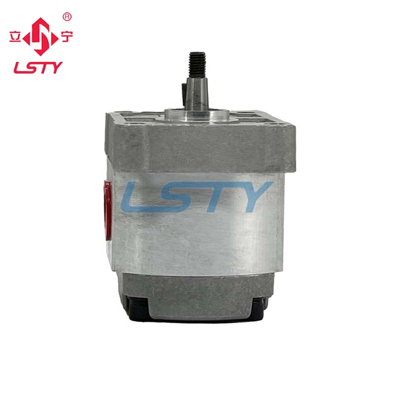 Durable Cast Iron Hydraulic Gear Pumps | High-Efficiency