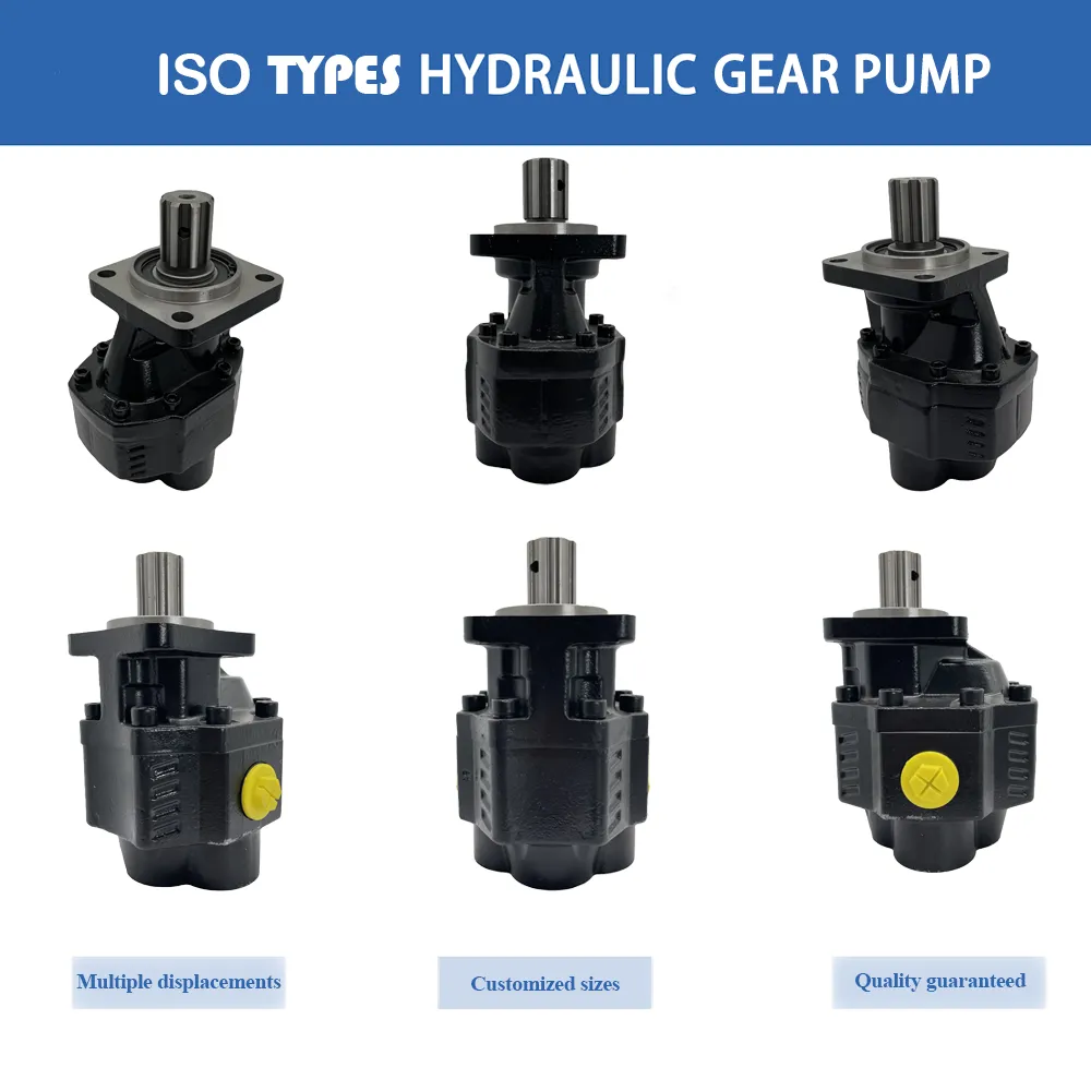 Advantages of Cast Iron Gear Pumps