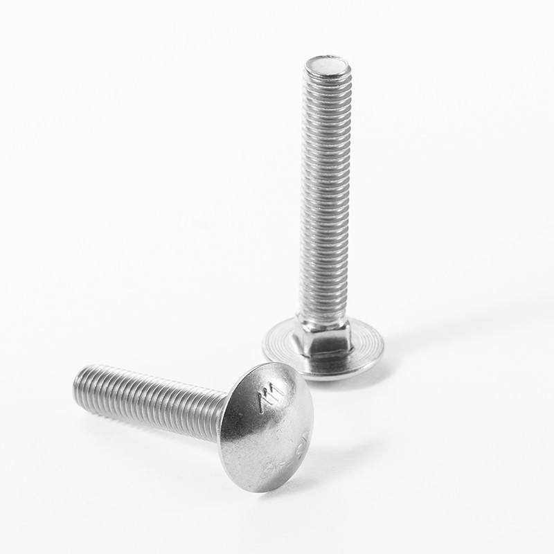 Enhance Your Project with Reliable Carriage Bolts