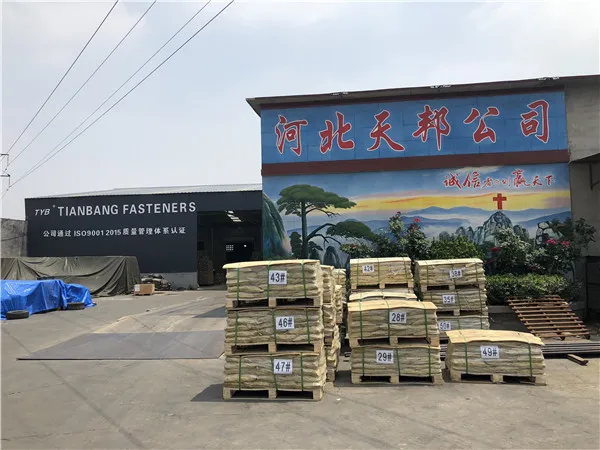 self tapping screw exporter