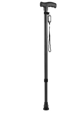 Crutch Supports Walking