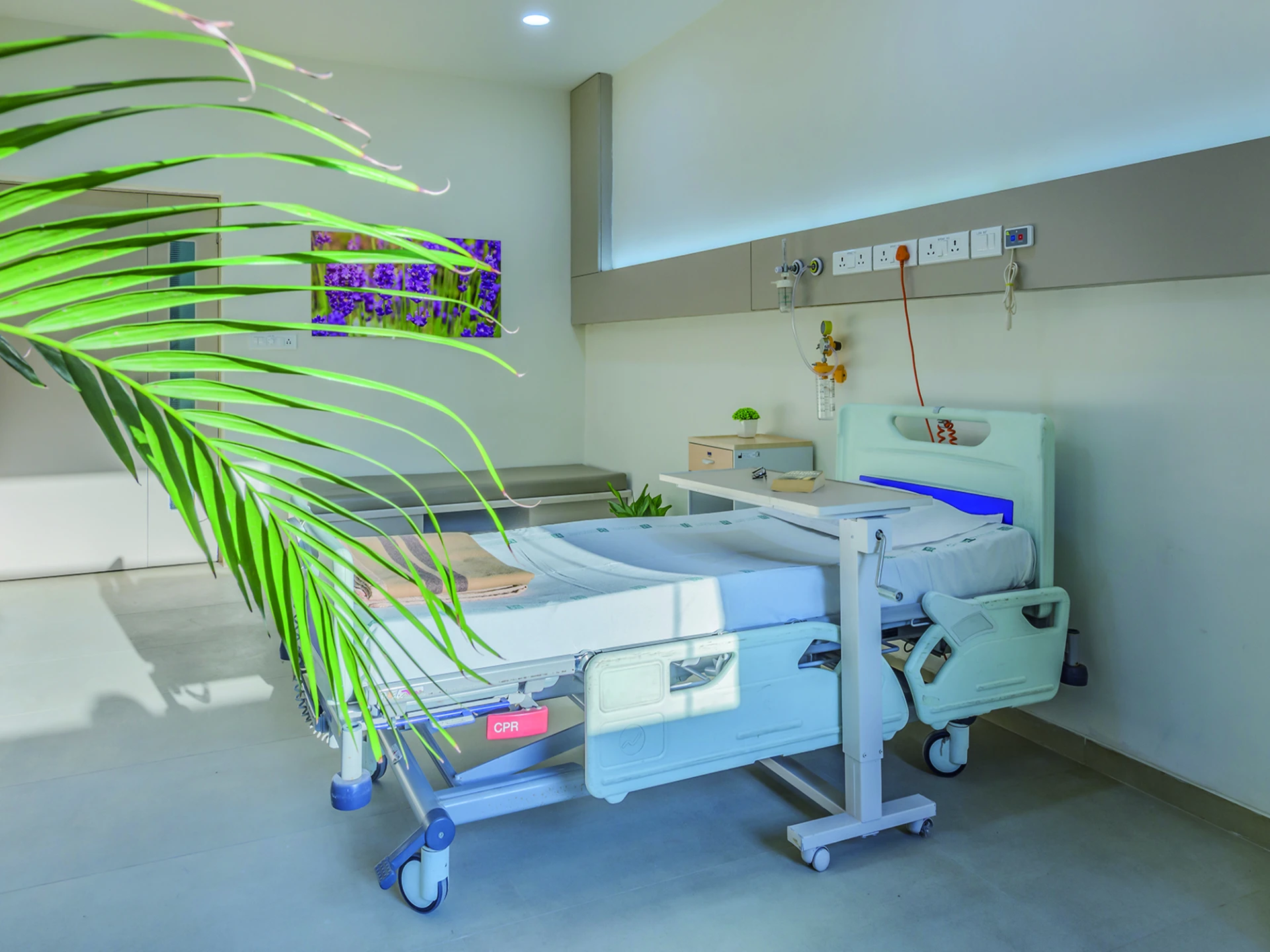 Exploring the Types of Hospital Beds for Optimal Patient Care