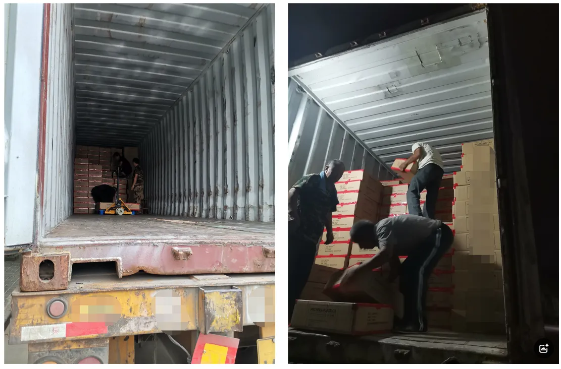 Covid-19 Pandemic Outbreak In 2020