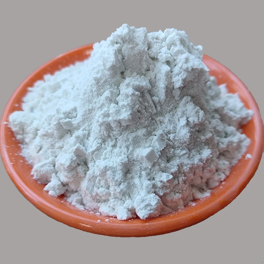 The Importance of Diatomite in Swimming Pool Filters