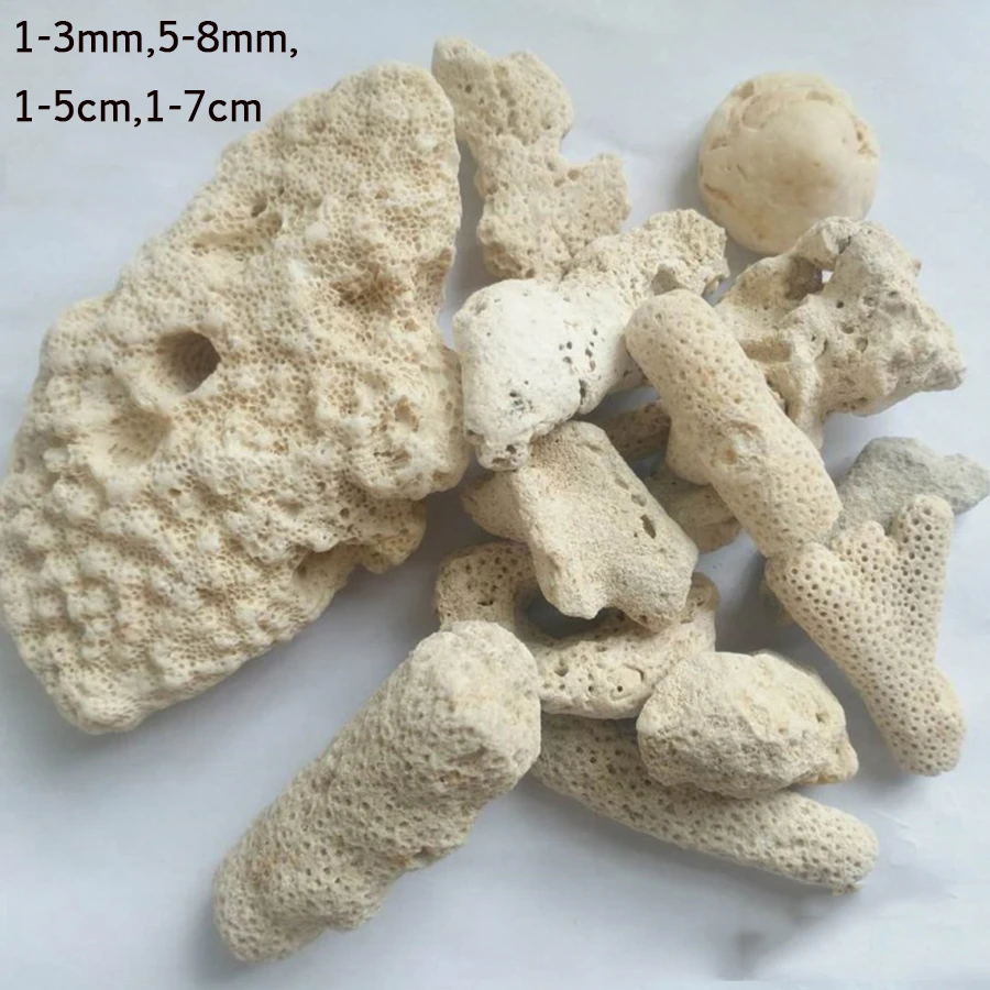 Using Coral Sand in Aquarium and Marine Habitats
