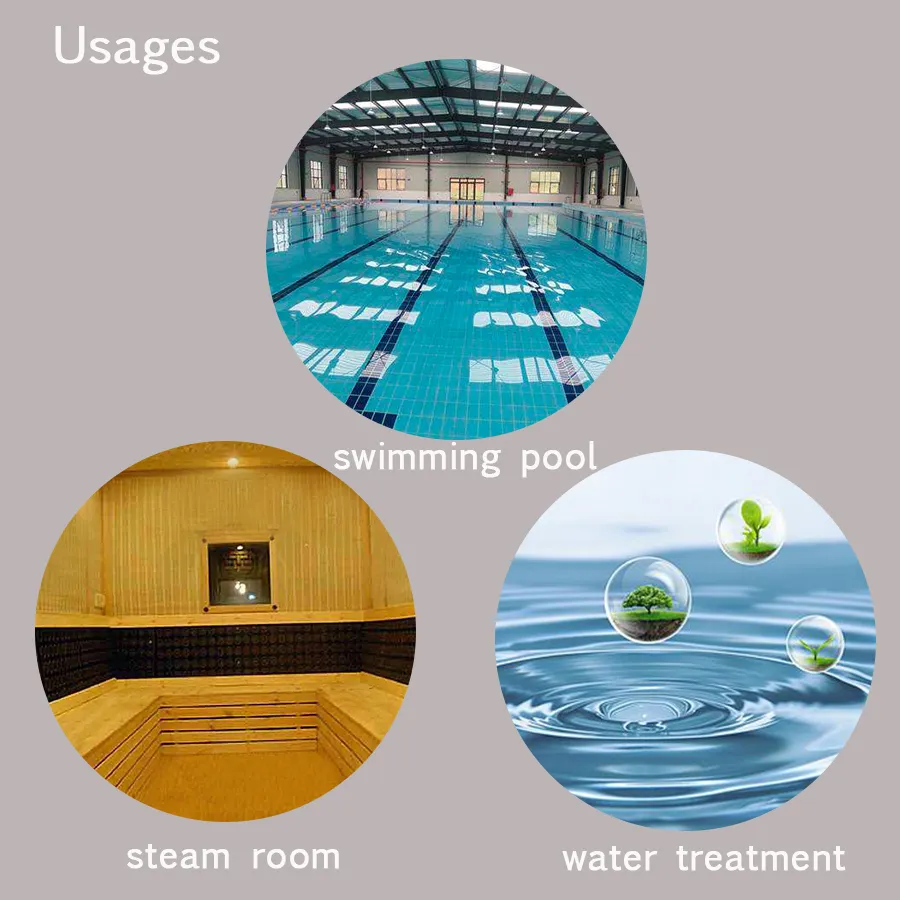 Unlock the Power of Dead Sea Salt