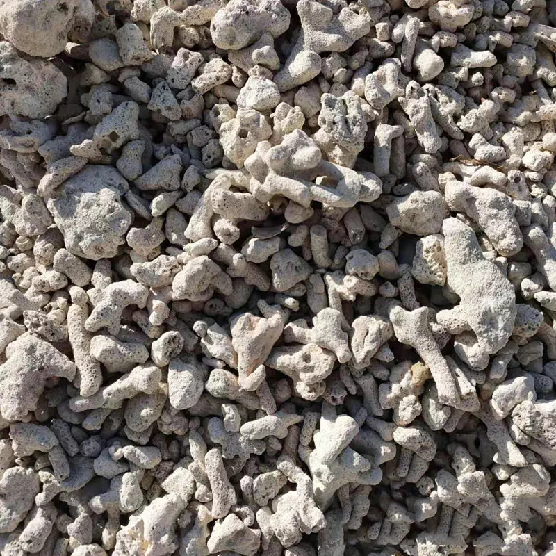 Using Coral Sand in Aquarium and Marine Habitats