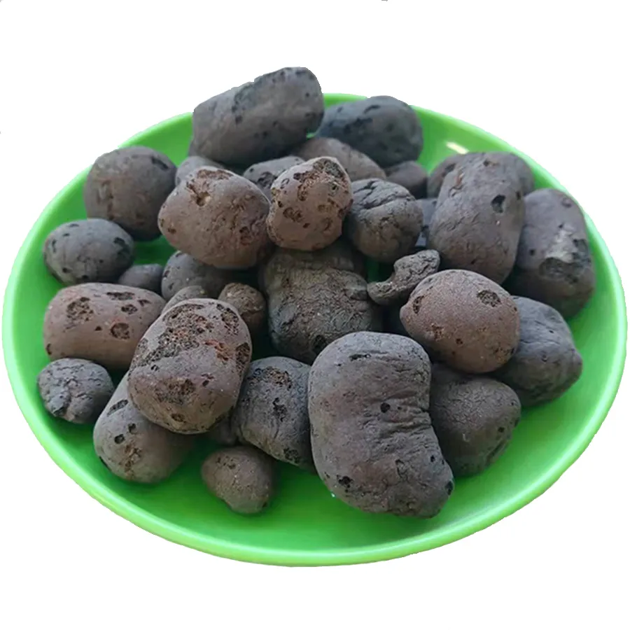 Planting Ceramsite: Superior Drainage, Aeration for Healthy Roots