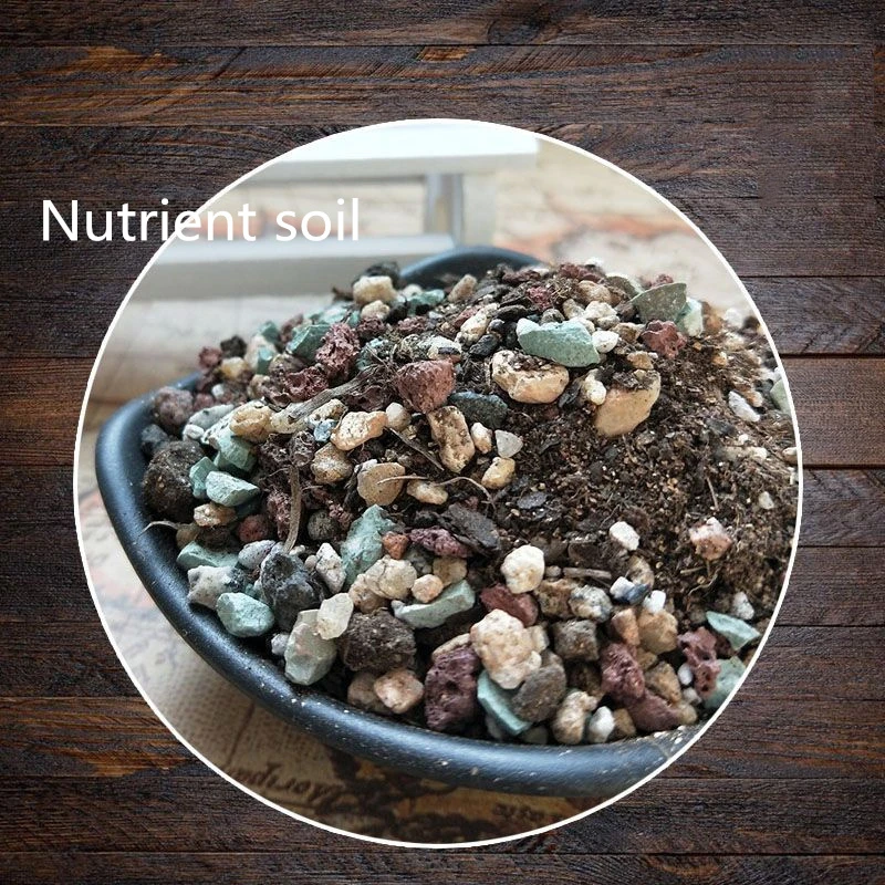 Nutritional Soil
