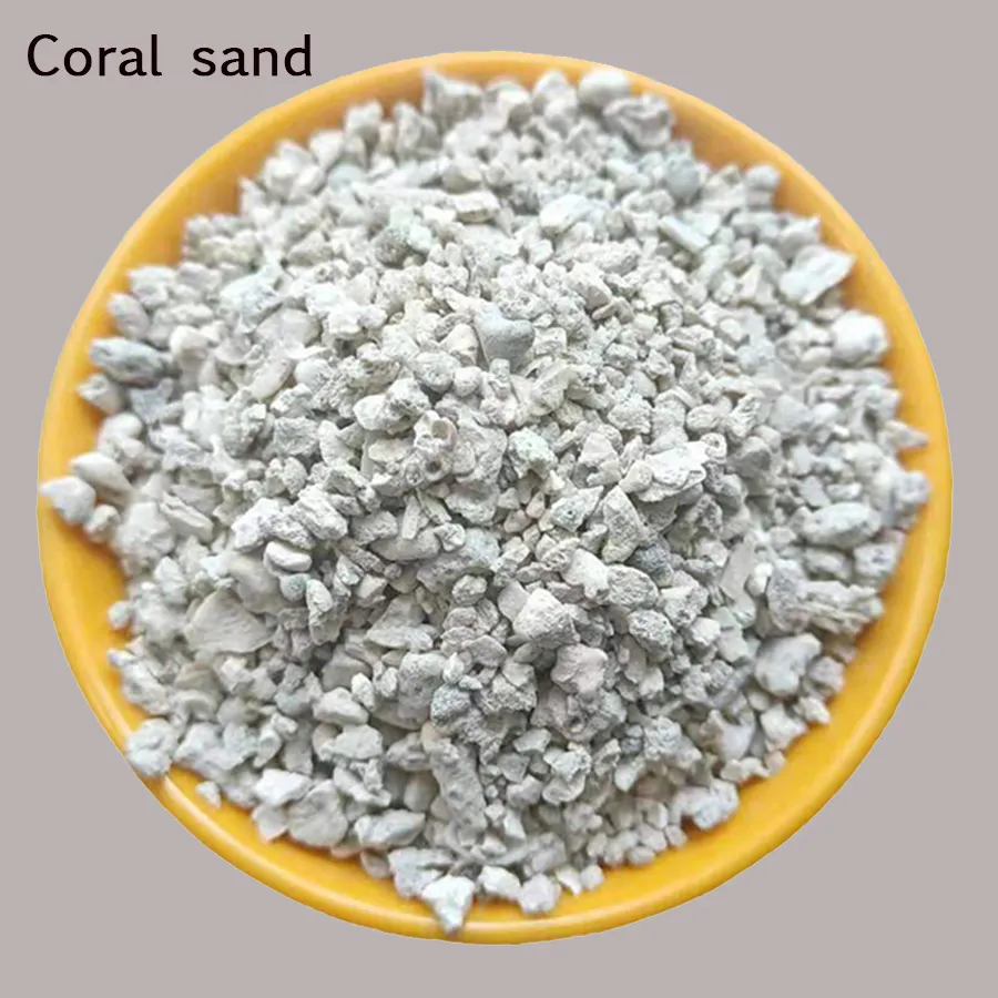 Coral Sand—pH-Buffering, Calcium-Rich Aragonite Substrate