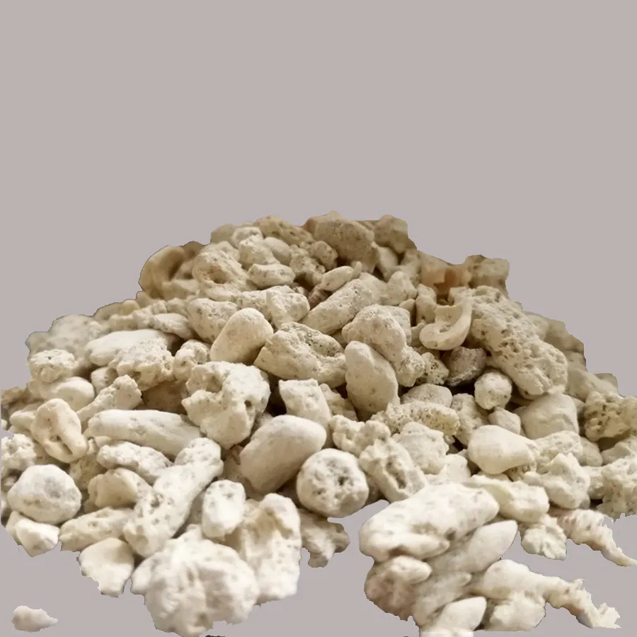 Coral Sand—pH-Buffering, Calcium-Rich Aragonite Substrate