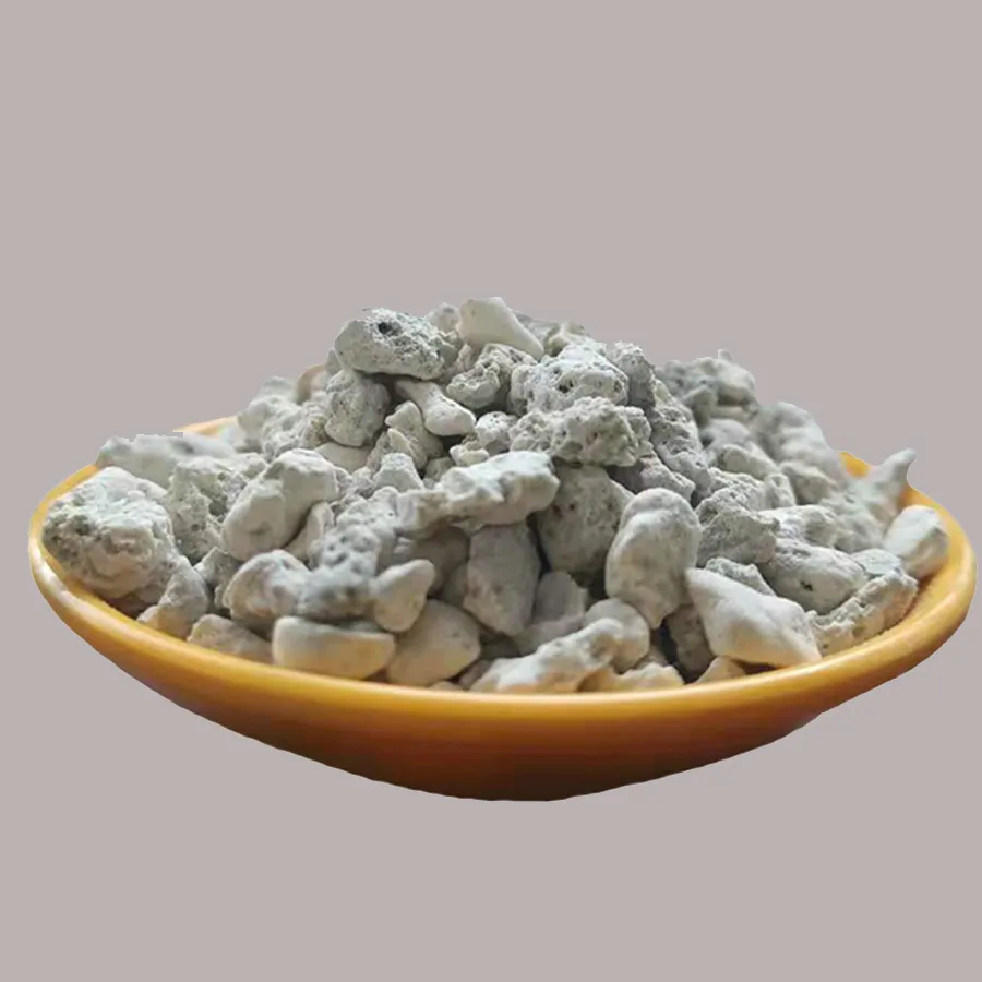 Coral Sand—pH-Buffering, Calcium-Rich Aragonite Substrate