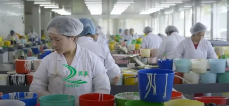 Hog Casing Workshop At RUNTAI