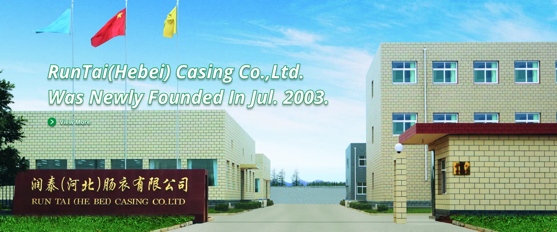 salted hog casing supplier