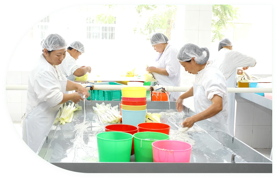 sausage casings types