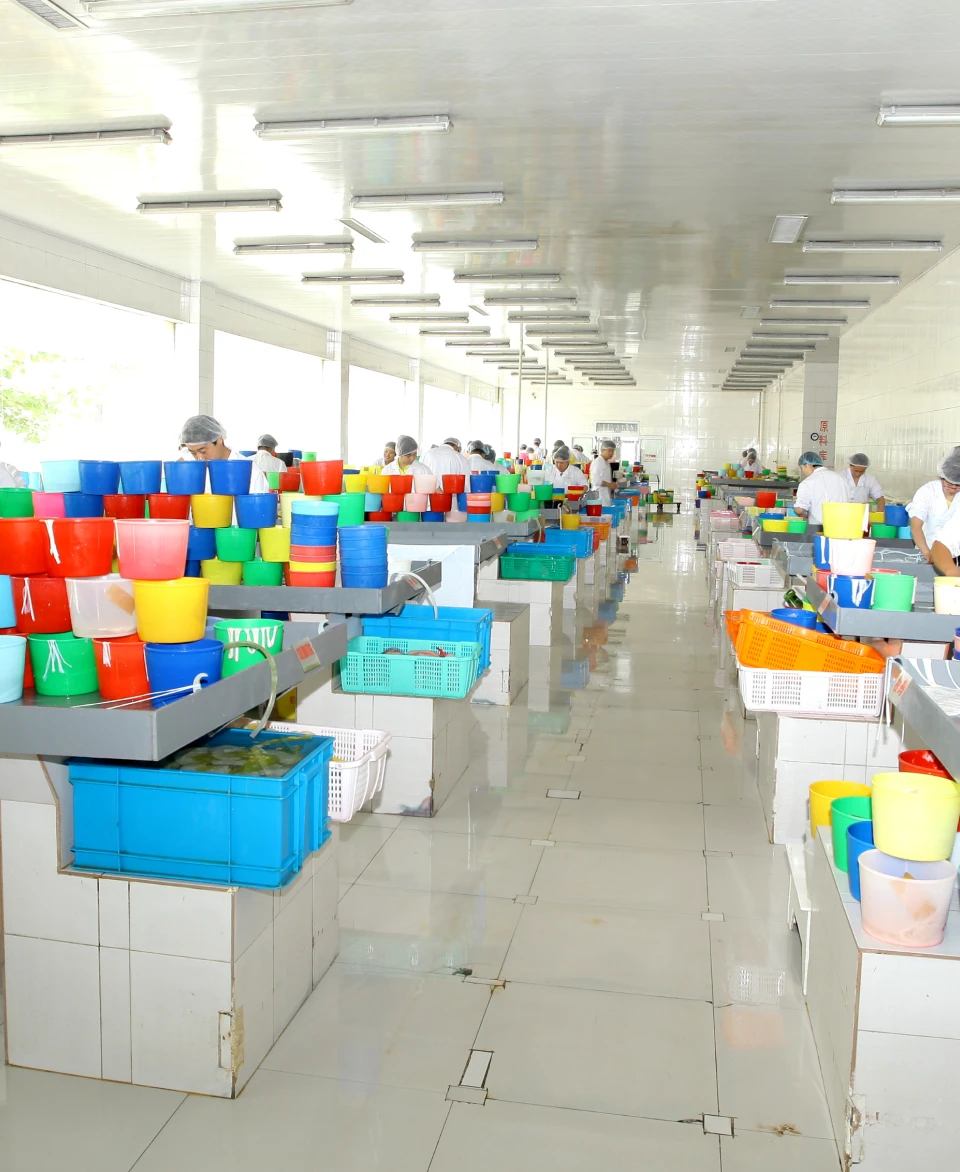  hog casings for sale