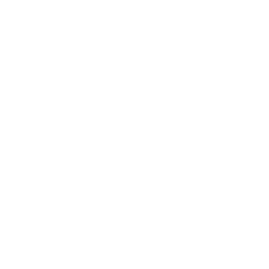  Professional technicians