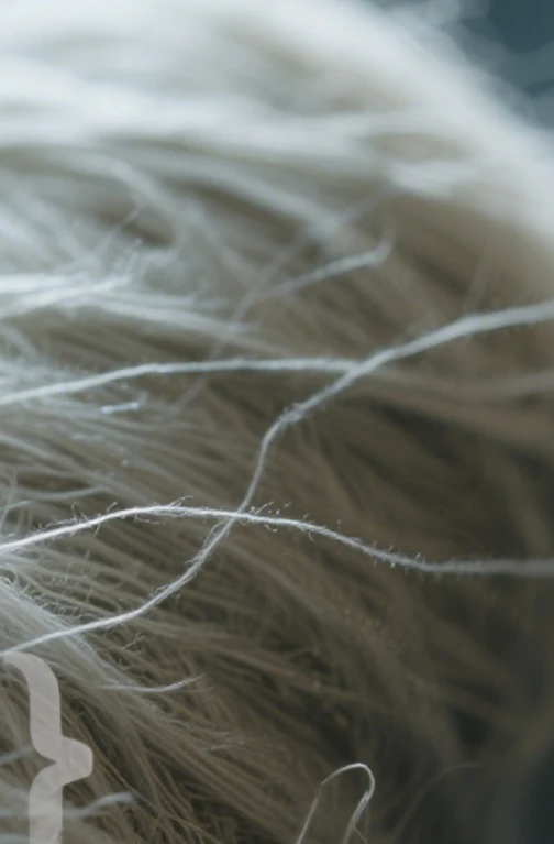 Enabling Affordable And Breathable Fabrics