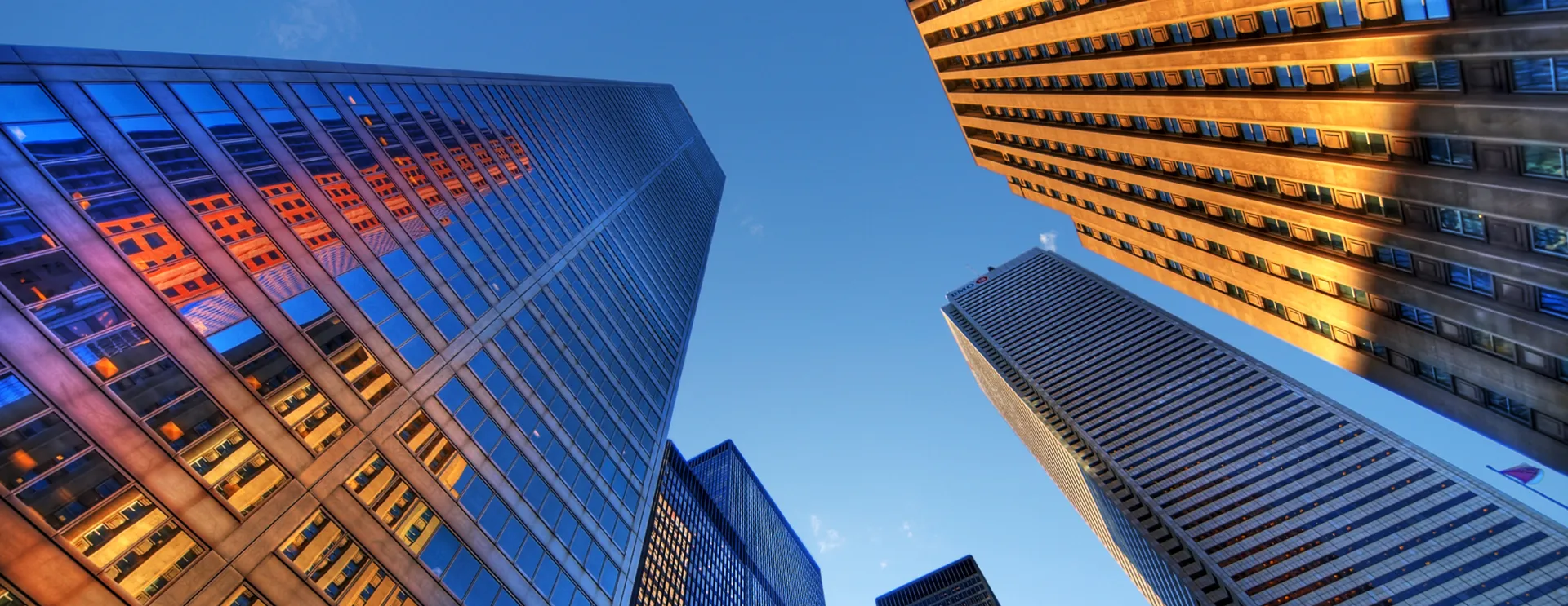 Key Ingredient In Adhesives Due To Its Strong Bonding Properties