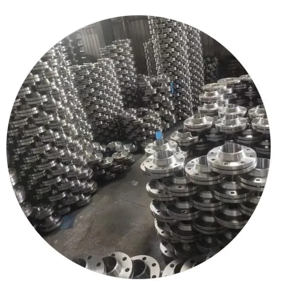 The Diverse Landscape of Flanges in Industrial Applications