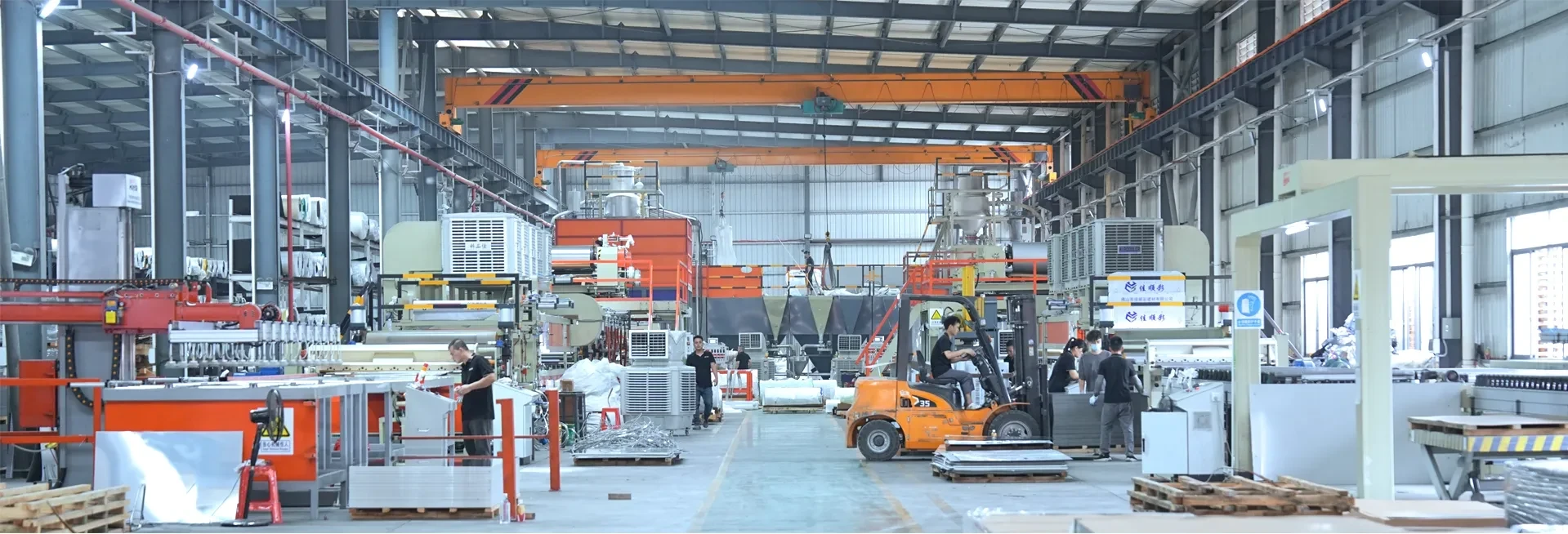 secaiyiyangdsc08200-7981-450