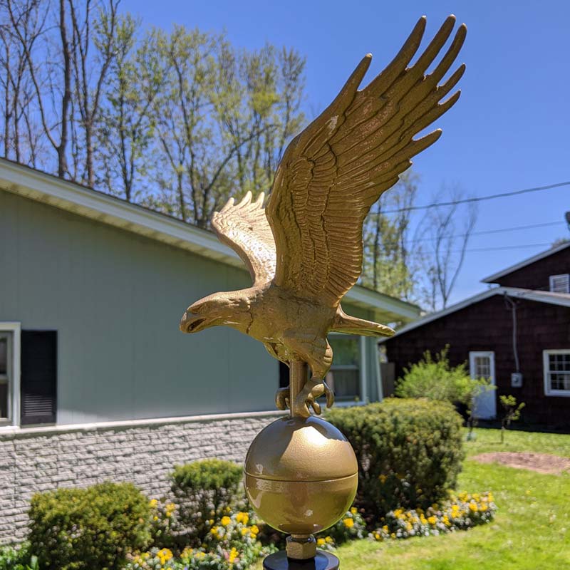 Bronze Eagle and Its Variants: Striking Sculptures for Outdoor and Indoor Charm