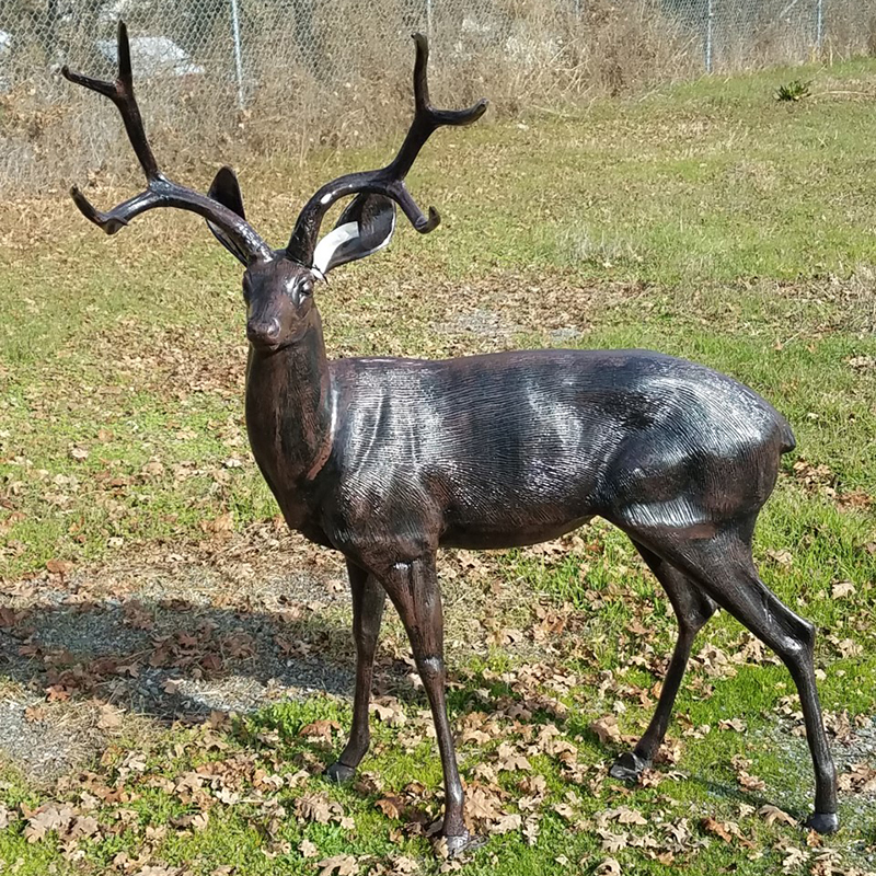 The Forest Guardian: Why Bronze Deer Statues Are Becoming a Global Favorite for Outdoor Landscapes