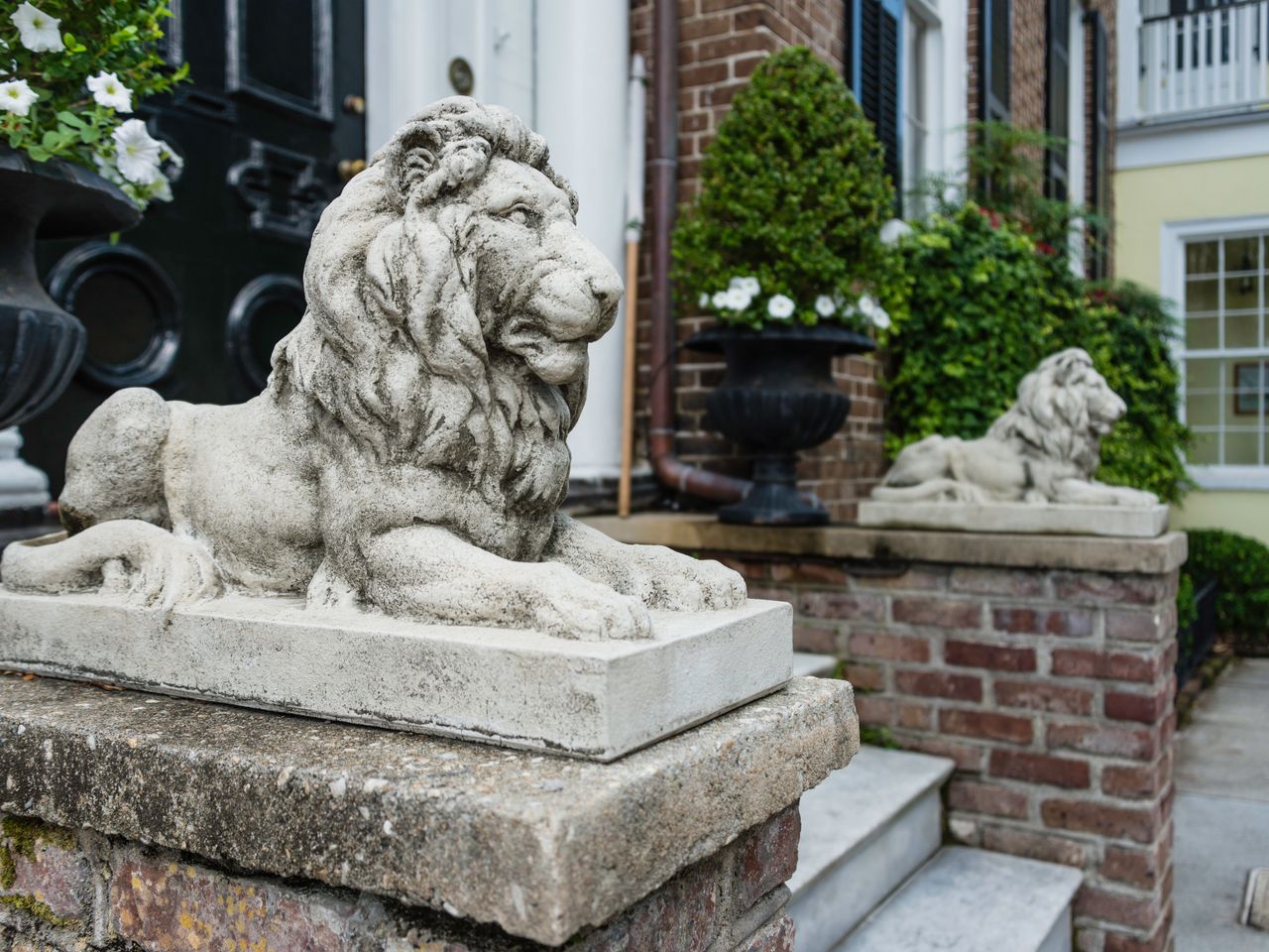 Introduction To Marble lion Statues