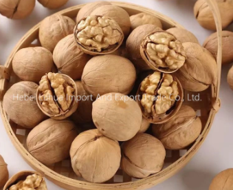The benefits of buying walnuts in shell bulk