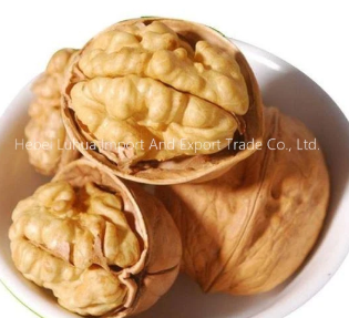 The benefits of buying walnuts in shell bulk