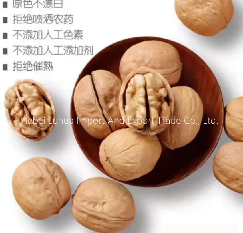 Seasonal availability of walnuts in shell for sale