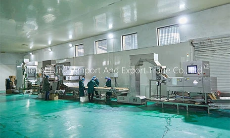 Hebei Luhua Factory Promotion