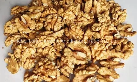 Chinese Walnuts, Available In Stock