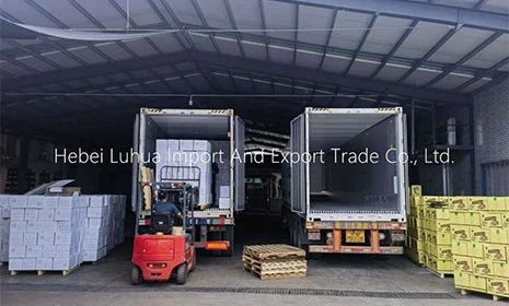 Walnut Kernel Color Selection Workshop