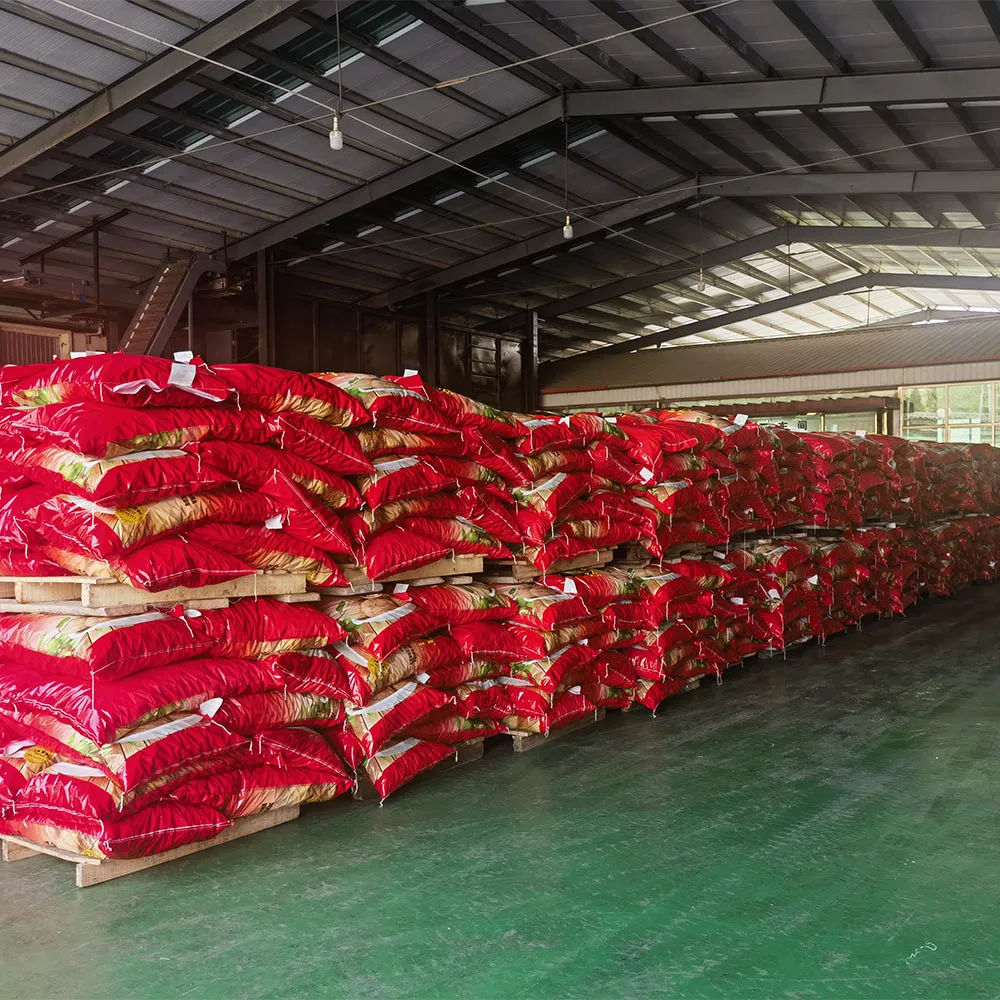 Bulk Walnuts for Sale: Premium Quality & Wholesale Prices