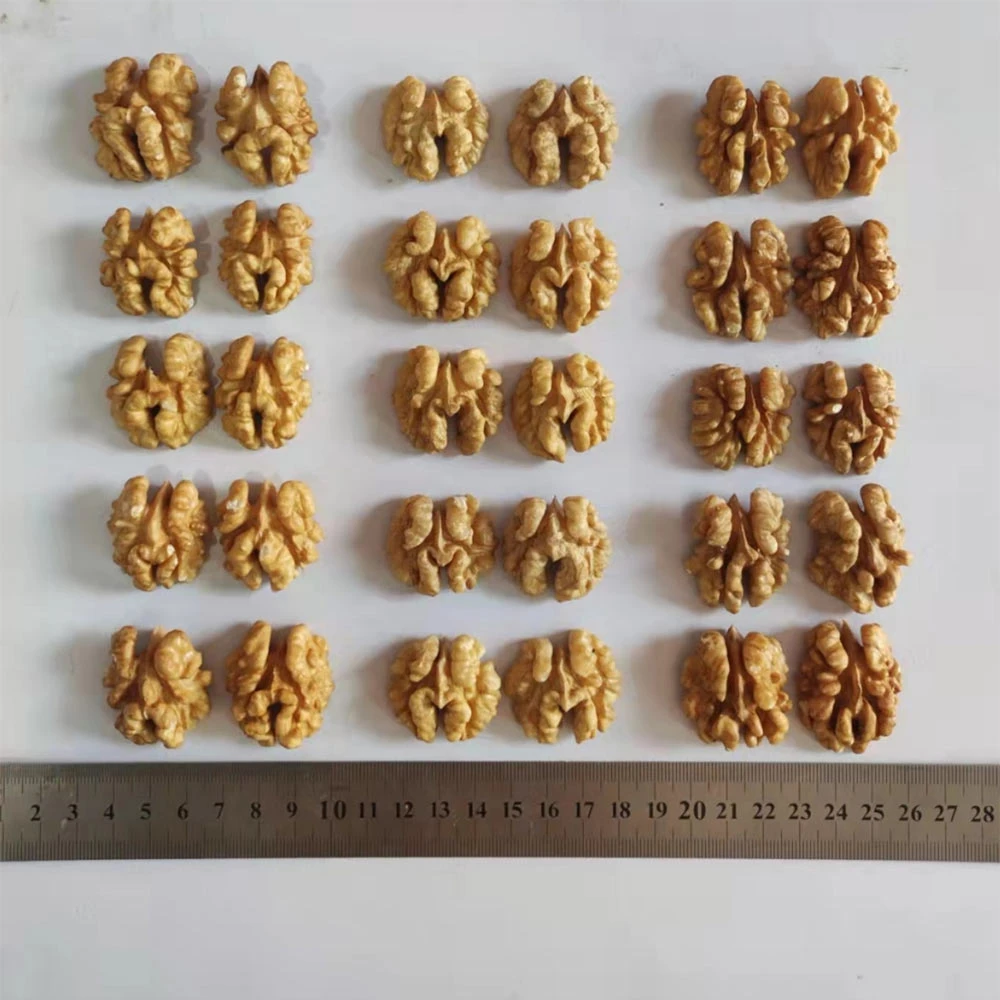 Xinjiang Xinfeng Walnut Kernels Extra Light Halves(ELH), Light Halves(LH)
