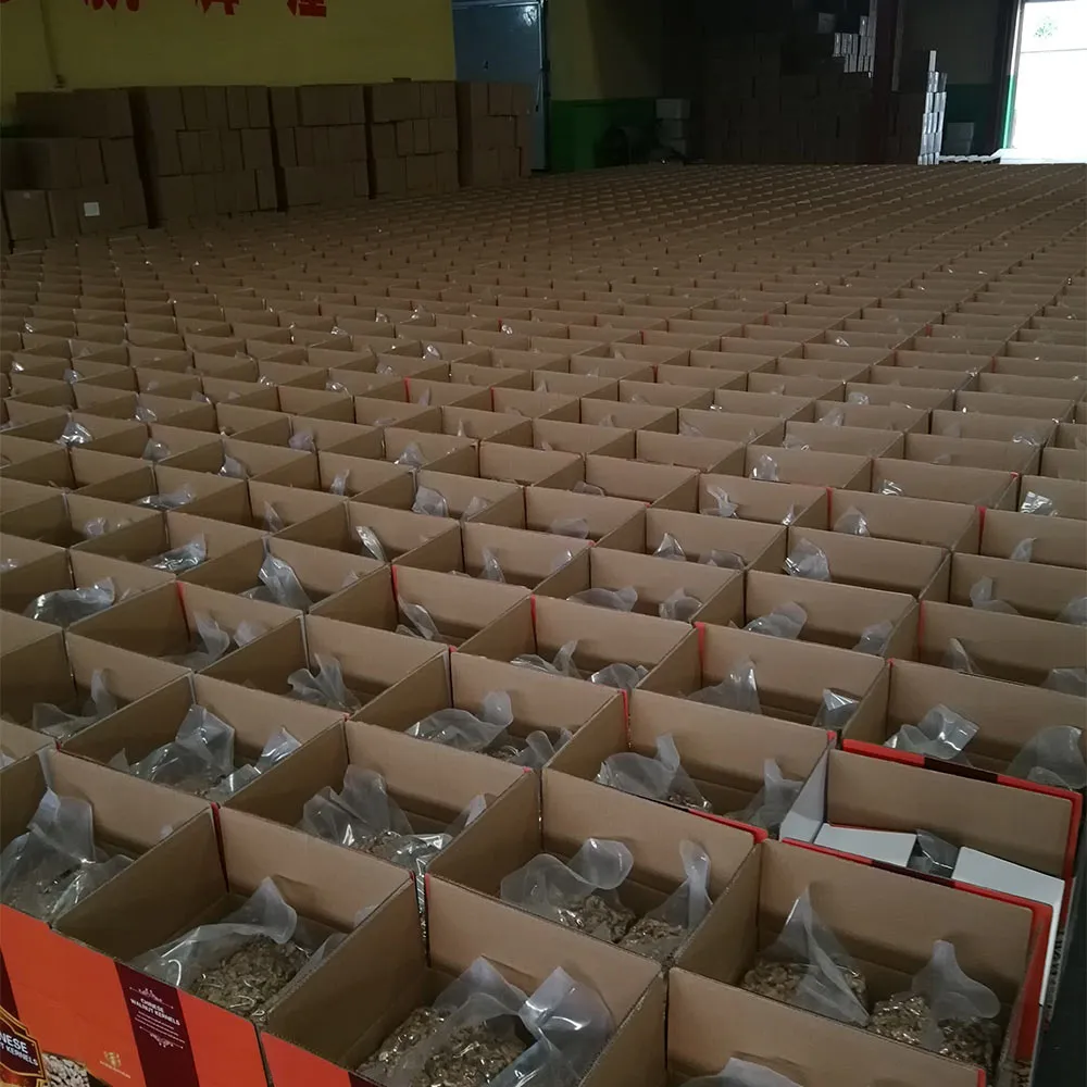 Premium Walnut Kernels Wholesale Price | Bulk Deals