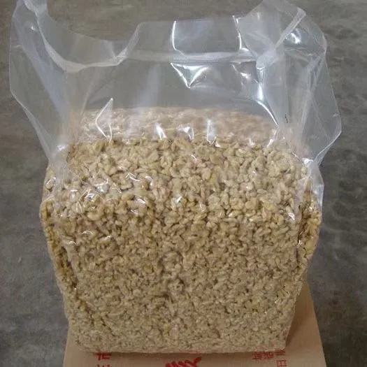 Peel Walnut Easily: Fresh Peeled Walnuts, Bulk & Best Price