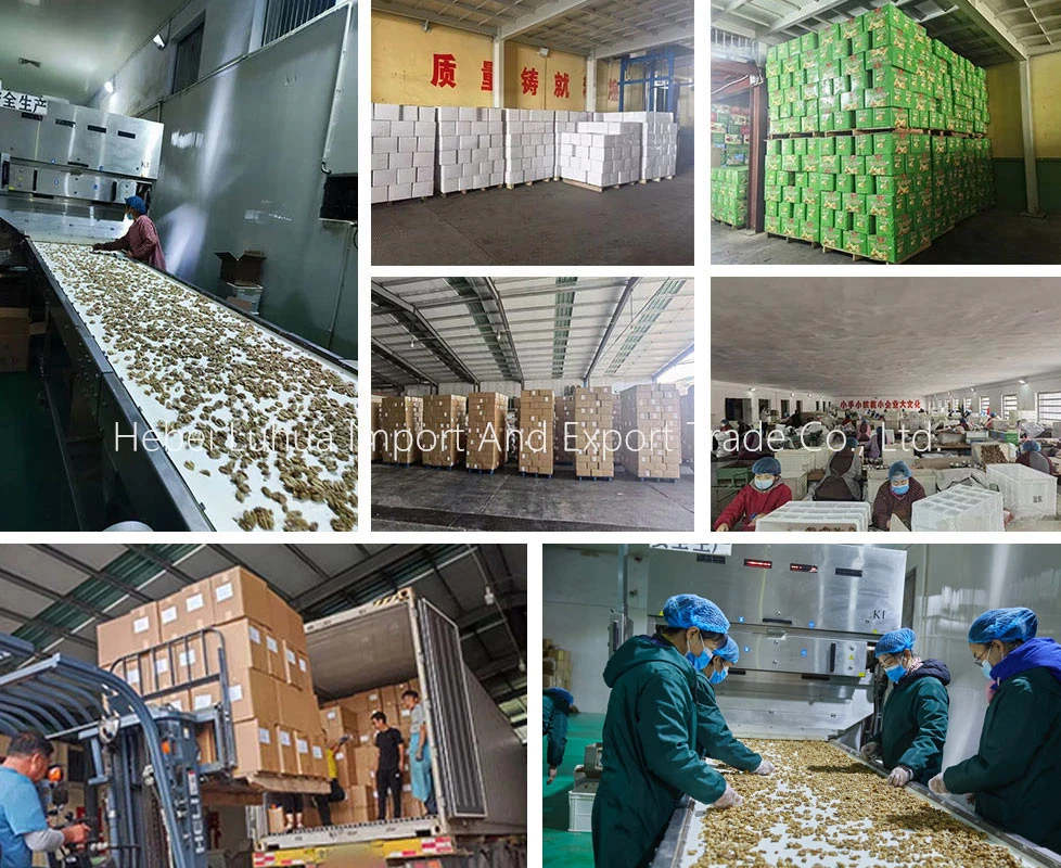 wholesale walnut suppliers