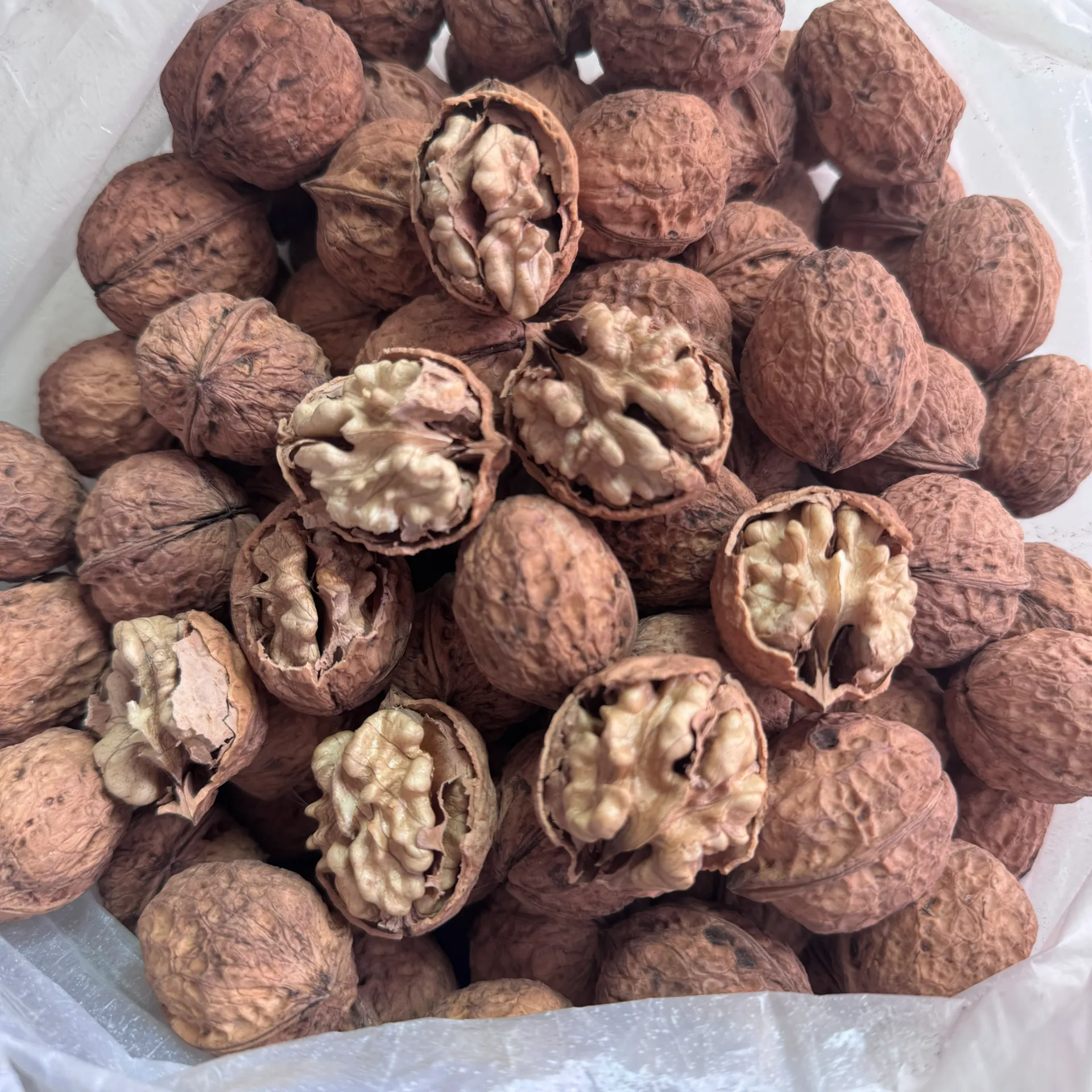 Hebei Luhua Foreign customers visit factories