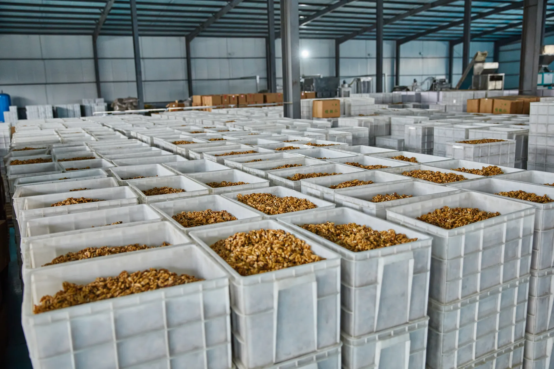 Hebei Luhua Foreign customers visit factories