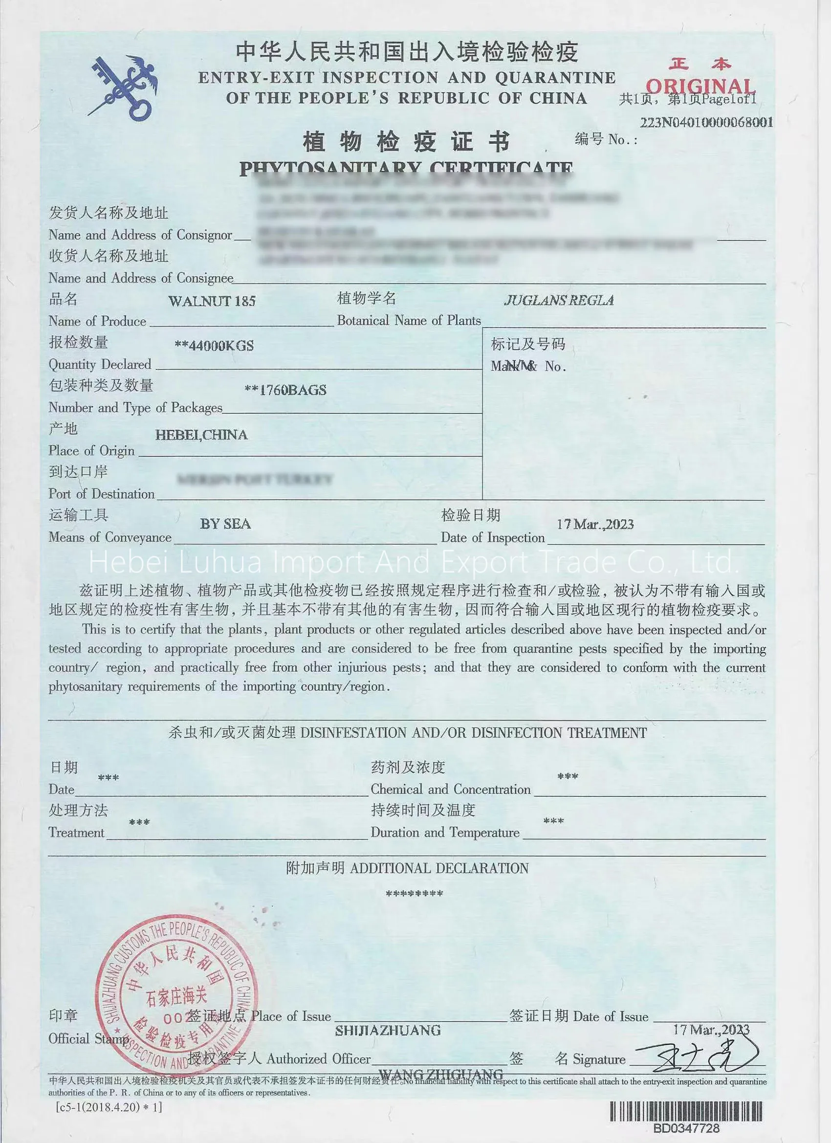 walnuts halves suppliers