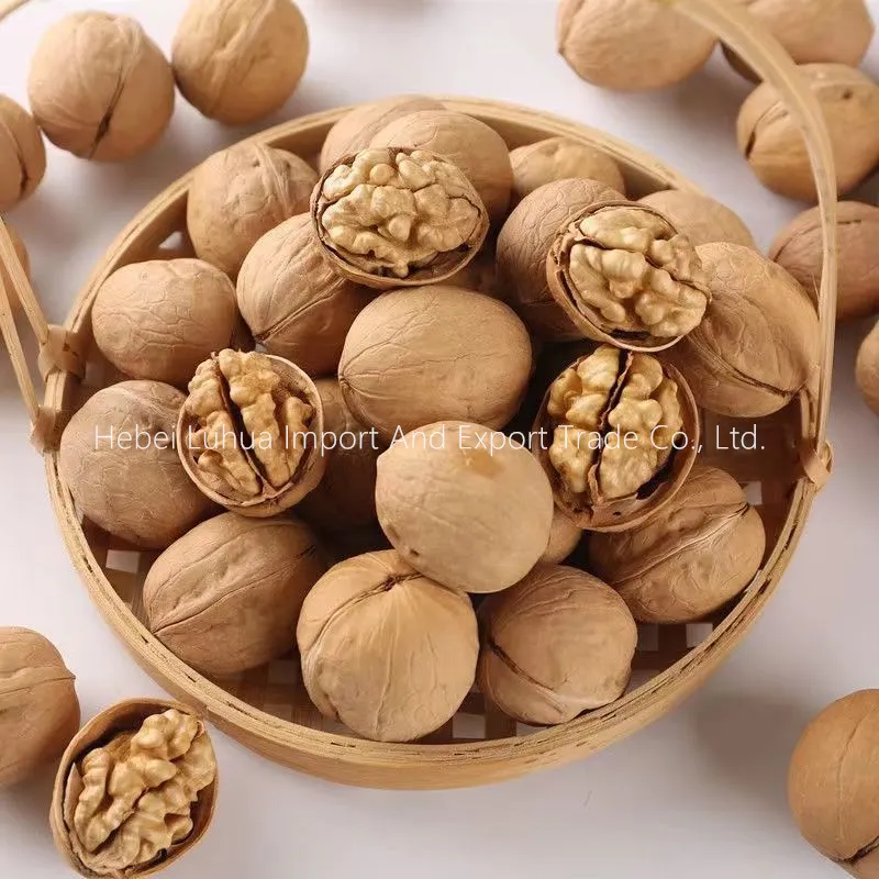 Chinese Walnuts in Shell vs California Walnuts: Key Differences Explained