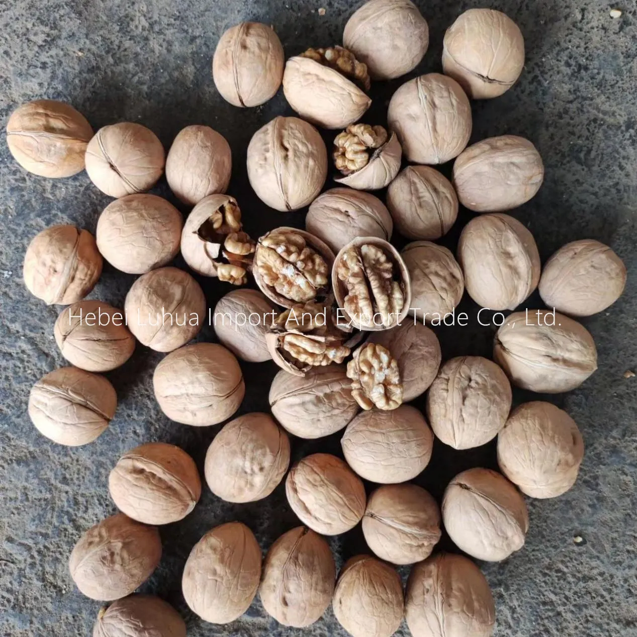 Health Benefits of Eating Chinese Walnuts in Shell